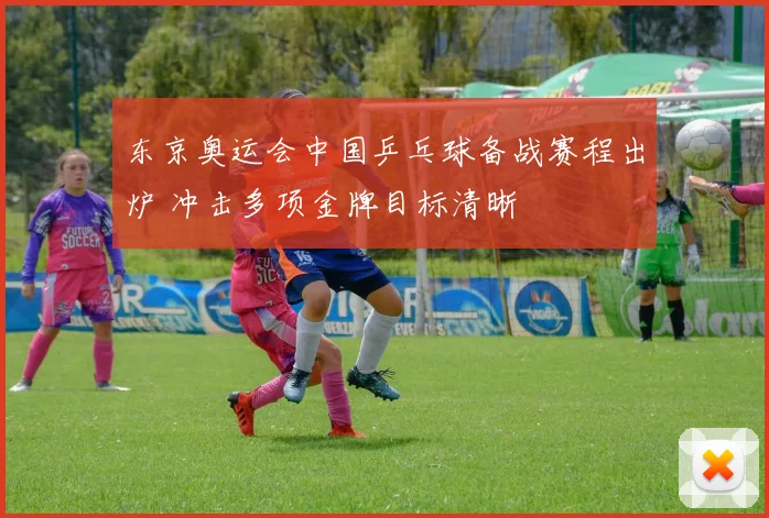 东京奥运会中国乒乓球备战赛程出炉 冲击多项金牌目标清晰