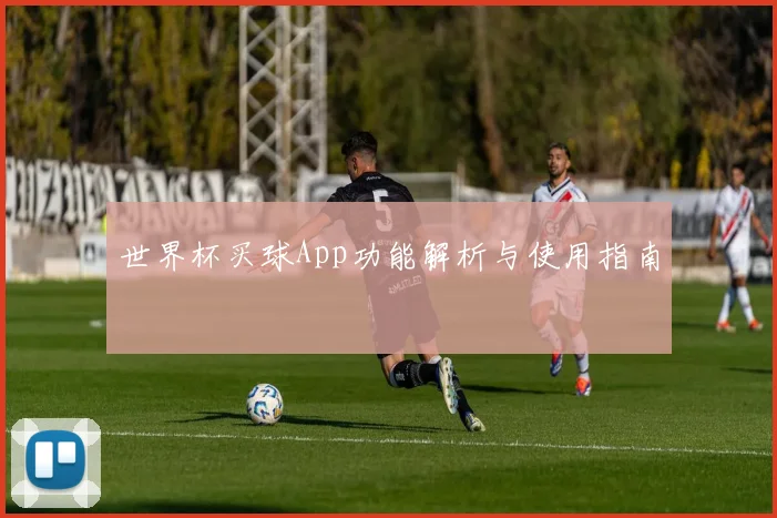 世界杯买球App功能解析与使用指南