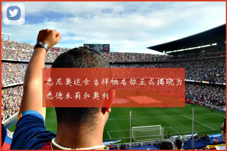 悉尼奥运会吉祥物名称正式揭晓为悉德米莉和奥利
