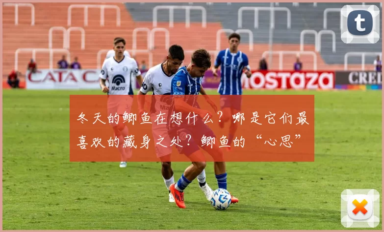 冬天的鲫鱼在想什么？哪是它们最喜欢的藏身之处？鲫鱼的“心思”你得猜！