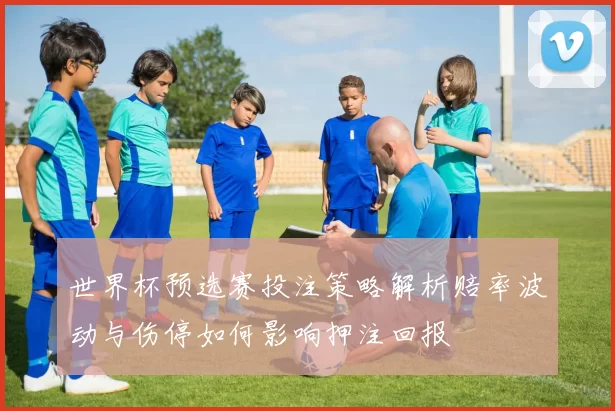 世界杯预选赛投注策略解析赔率波动与伤停如何影响押注回报